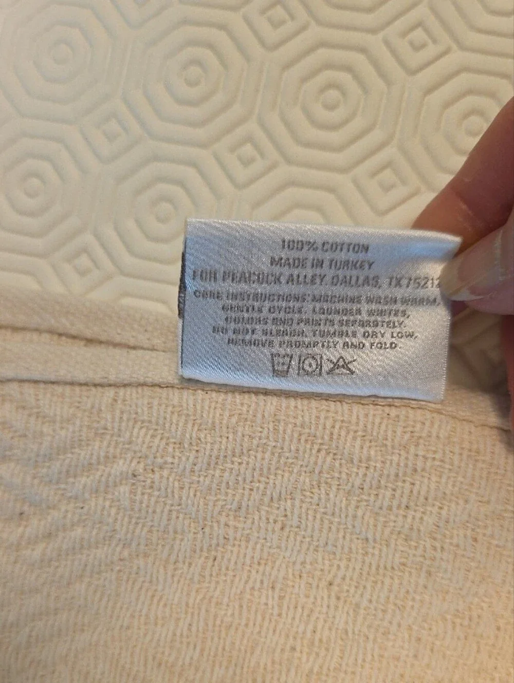 Peacock Alley Soft Cream Woven Throw Blanket with Fringe 38x62